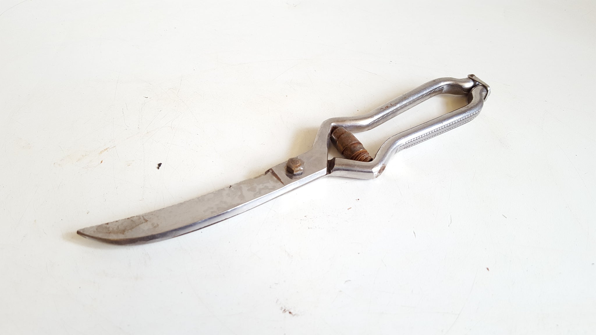 10 1/4" Vintage Chicken / Poultry Shears 40848